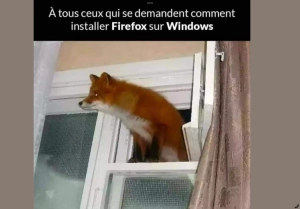 Divers blagues trouvées sur le net